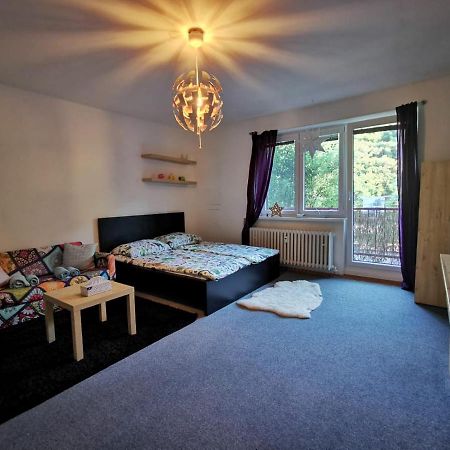 Cely Apartman Podlesi 54M2 S Dvema Balkony A S Novou Manzelskou Posteli, Zatim Neni Na Fotkach Apartment Brno Bagian luar foto